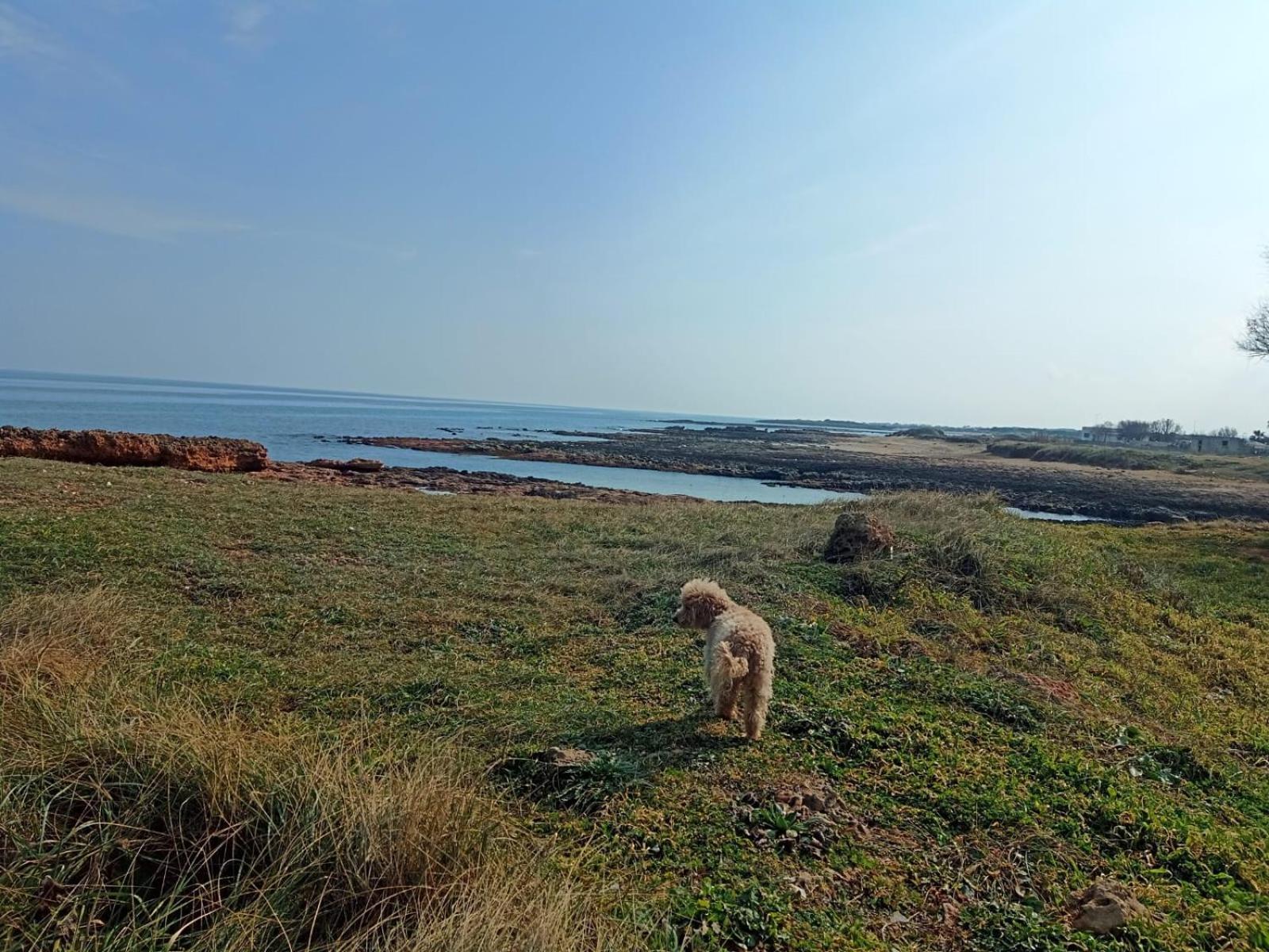 Del Mirto A 300mt Dalla Spiaggia, Parcheggio Privato, Animali Ammessi Torre Santa Sabina